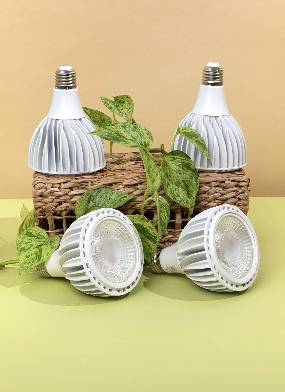 Four white Soltech Vita Grow Bulbs placed in a wicker basket with green plants.