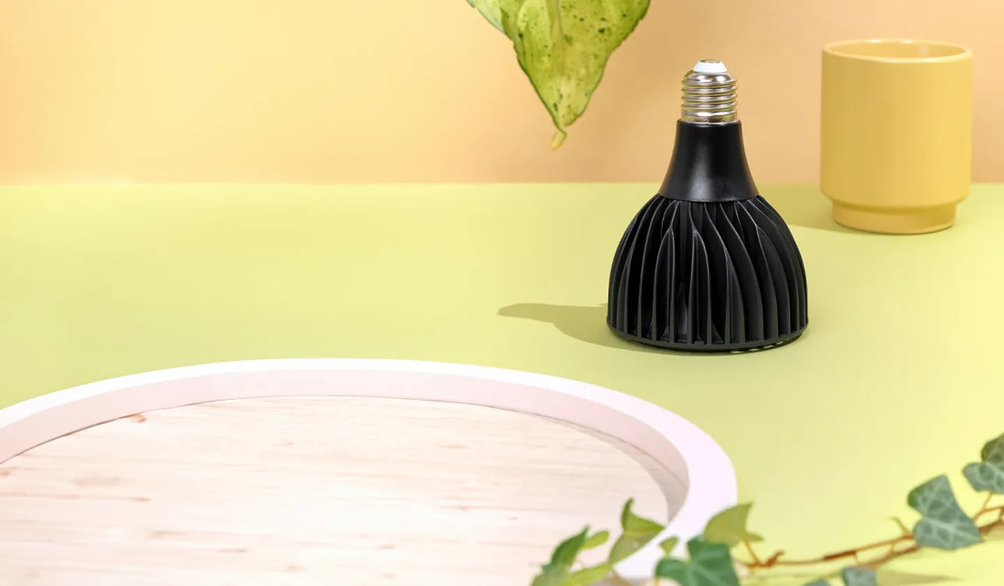 Black Soltech Vita grow light bulb on a yellow surface with a pink plate and green leaves.