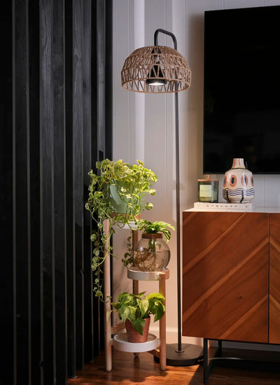 Cozy corner with a Soltech Willow with Vita and Verona lampshade, potted plants, a gold floor lamp, and a small table with a Buddha statue. Warm, calming ambiance.