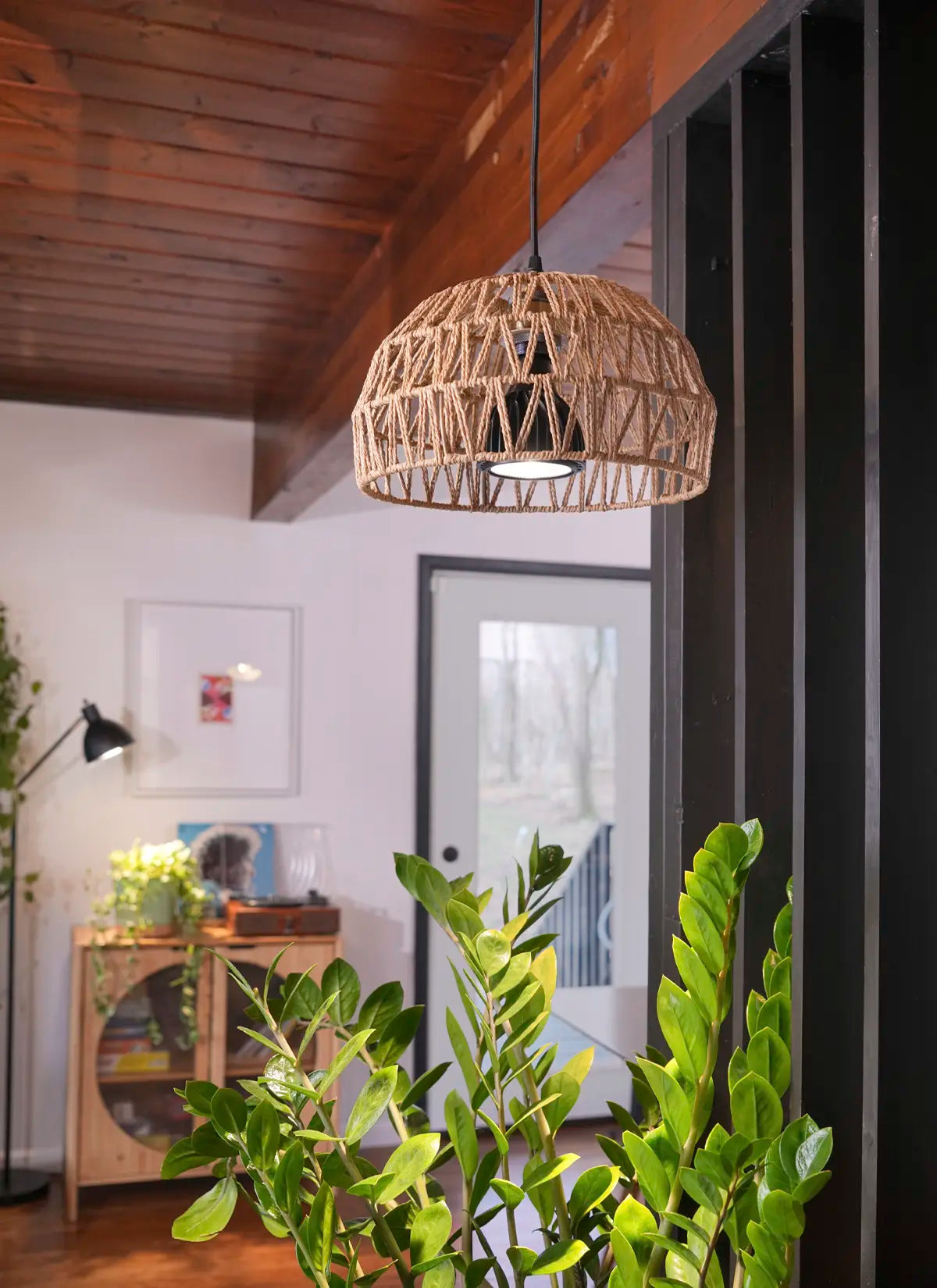 vita plant grow light Vita Get Growing Kit