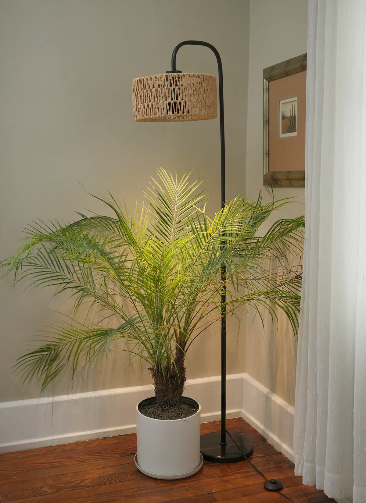 willow plant indoor Willow™ Vita LED Grow Bulb Floor Lampstand