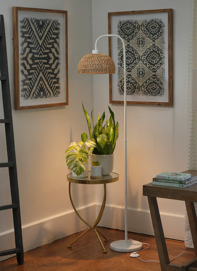 Soltech white Willow with Vita and Walnut Verona lampshade over plant