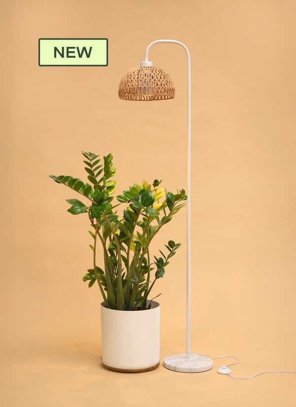 Willow™ Vita LED Grow Bulb Floor Lampstand