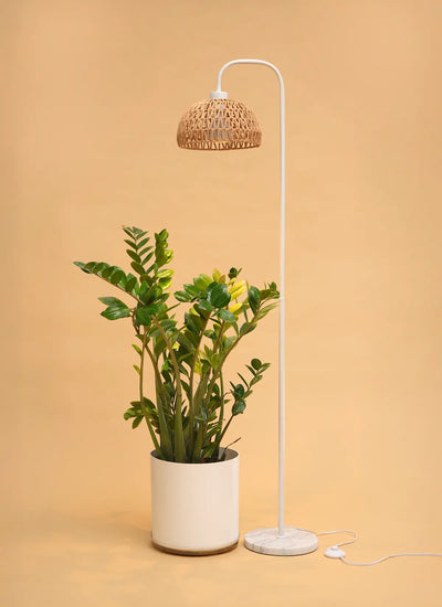 Floor lamp with Willow and Verona - Woven Rope Lampshade, potted plant on a beige background