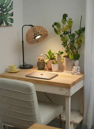 Black Soltech Fern with black Vita with Walnut Verona Lampshade on desk over succulents