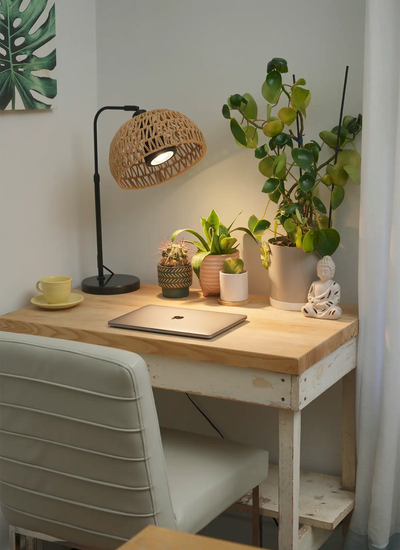 Black Soltech Fern with black Vita with Walnut Verona Lampshade on desk over succulents