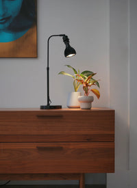 Small Aspect Grow Light