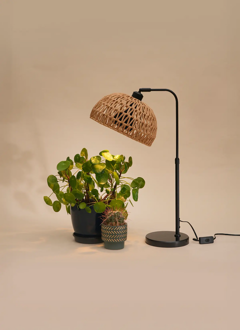Fern™ Vita LED Grow Bulb Adjustable Tabletop Lampstand