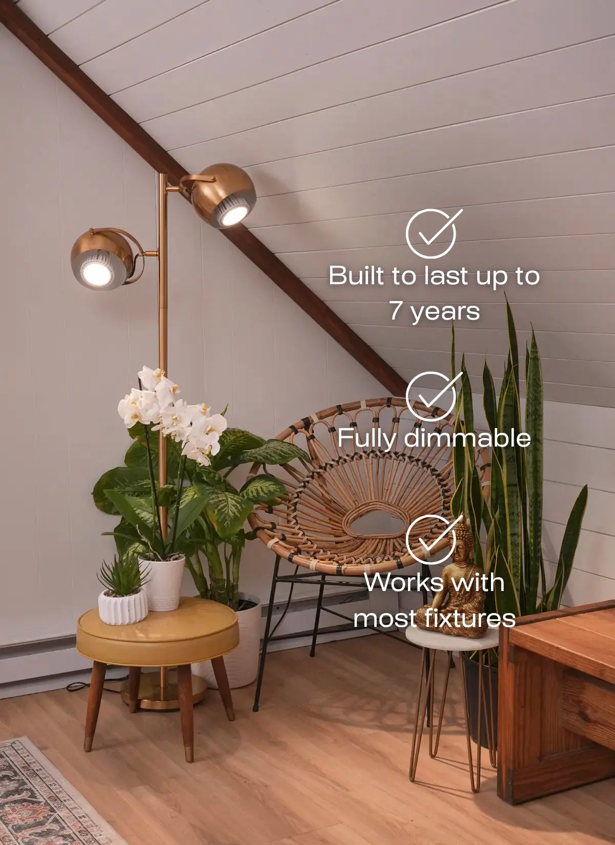 Modern interior design with a floor lamp, plants, and furniture.