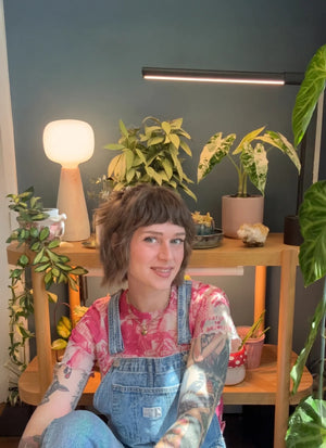 Person sitting in a room with plants, Soltech Aura and Soltech Versa