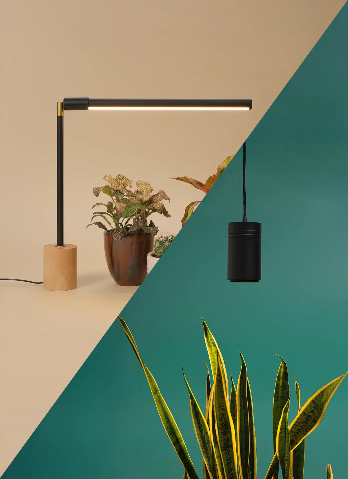 Wildfern Aspect X Versa Bundle