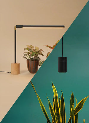 Wildfern Aspect X Versa Bundle