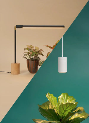 Wildfern Aspect X Versa Bundle