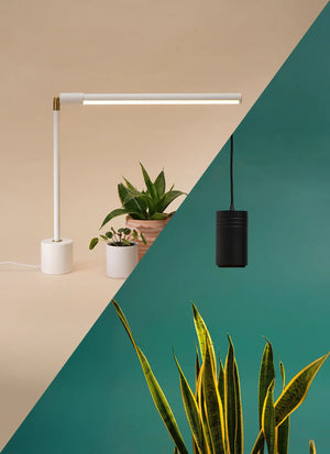 Wildfern Aspect X Versa Bundle