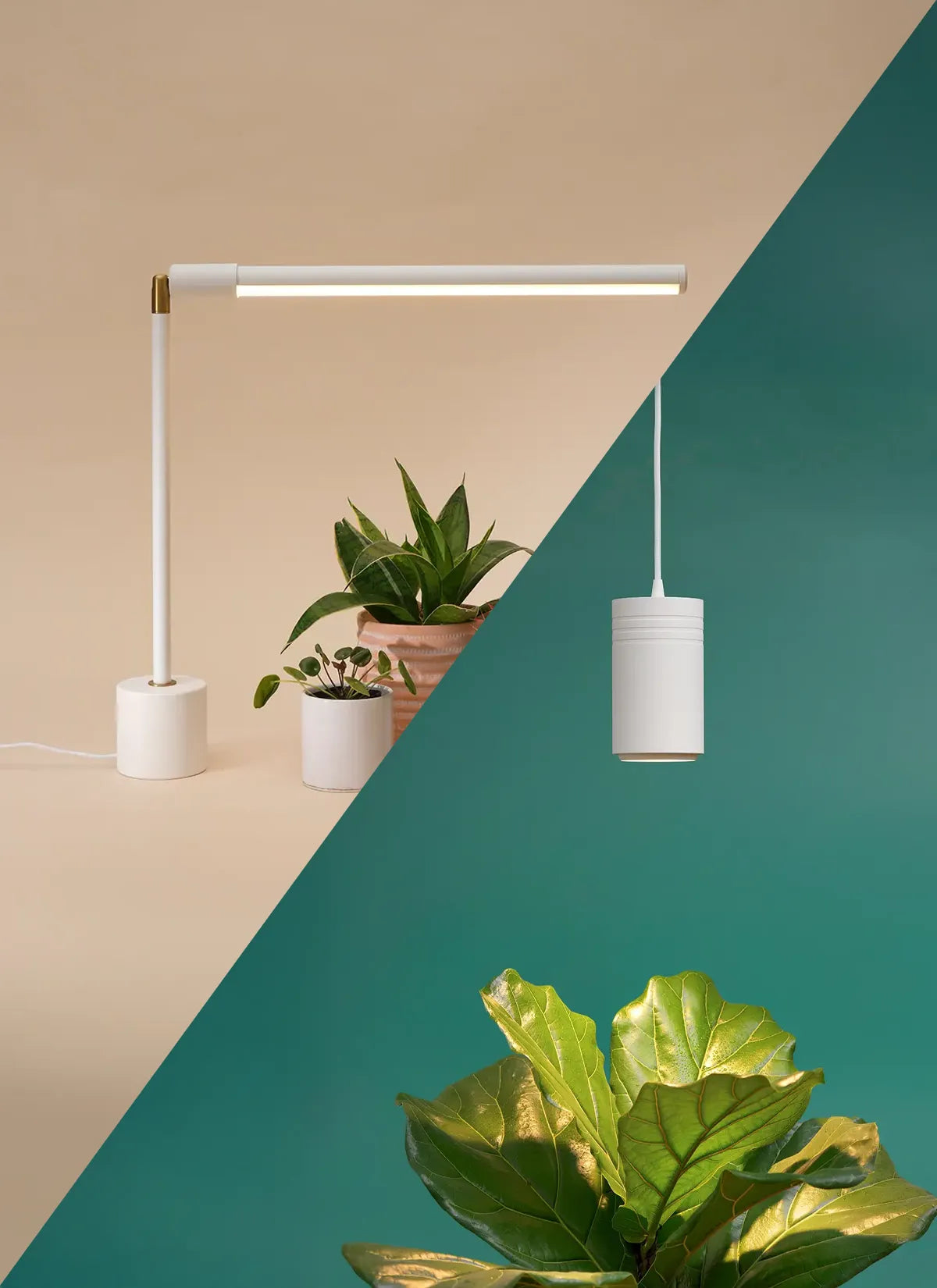 Wildfern Aspect X Versa Bundle