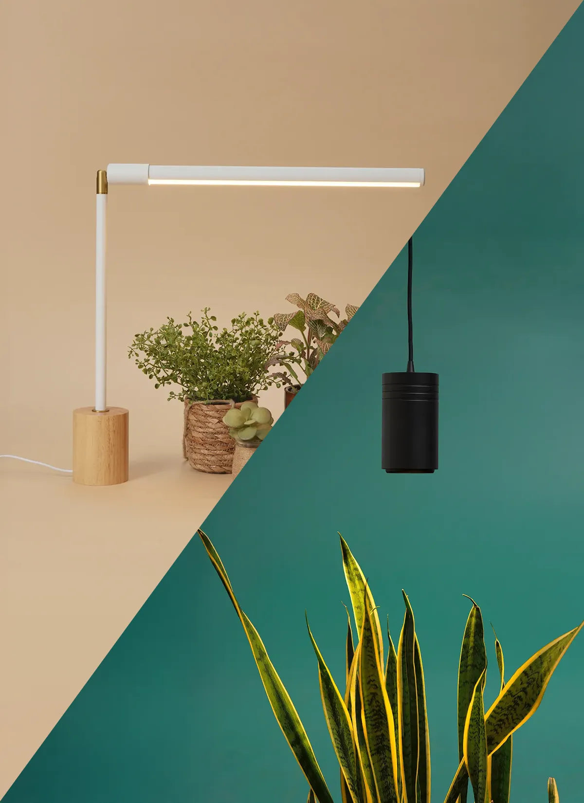 Wildfern Aspect X Versa Bundle