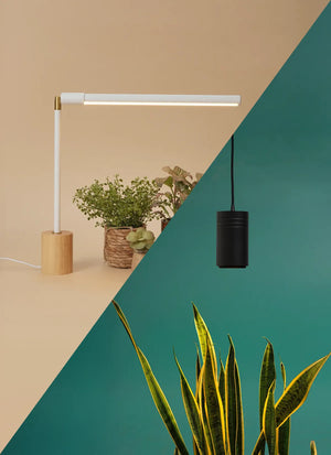 Wildfern Aspect X Versa Bundle