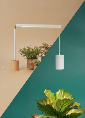 Wildfern Aspect X Versa Bundle
