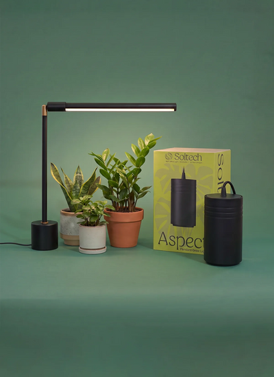 Wildfern Aspect X Versa Bundle
