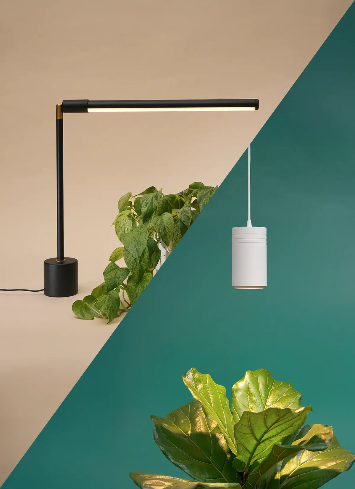 Wildfern Aspect X Versa Bundle