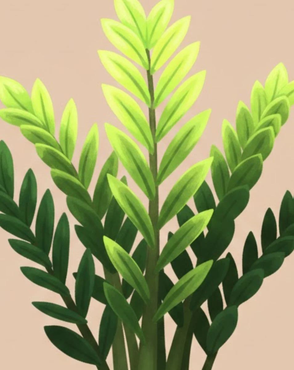 Illustration of green leaves on a beige background