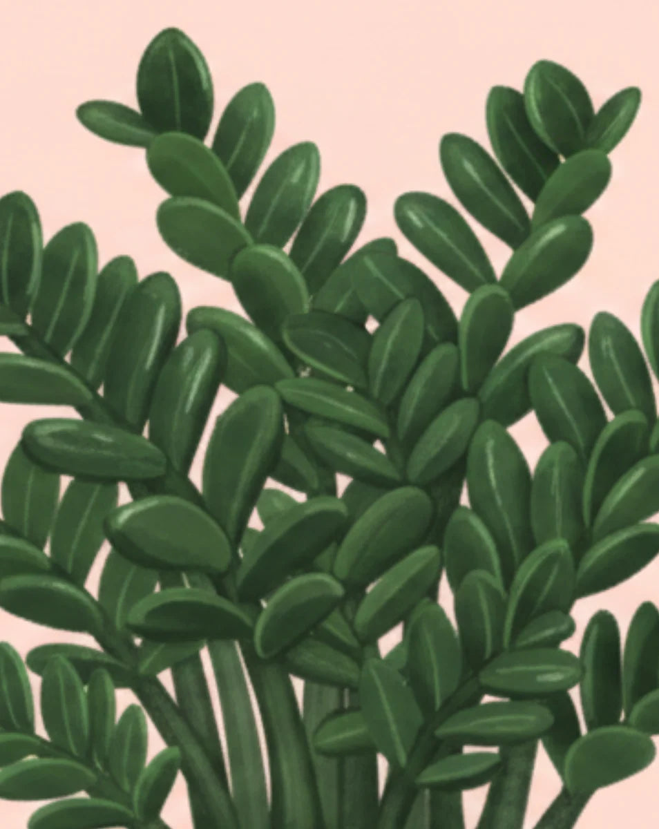 Close-up of green leaves on a pink background