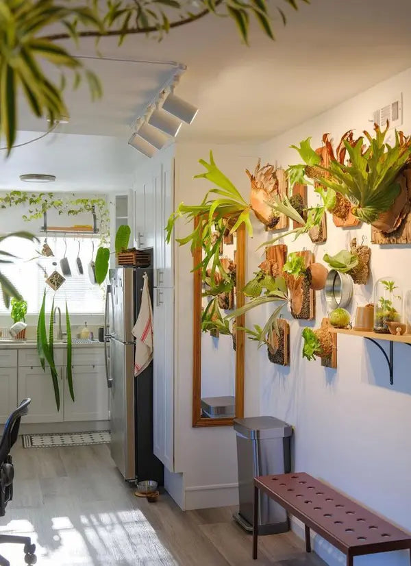 Modern kitchen with plants illuminated by a Soltech Highland track system and a bench