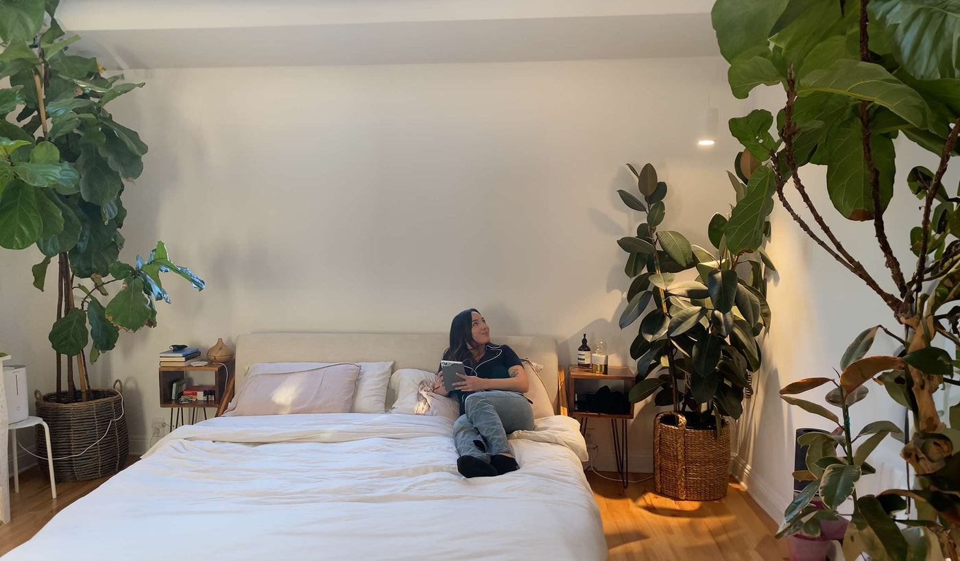 Indoor Plant Lighting For Home and Commercial Decor - Soltech