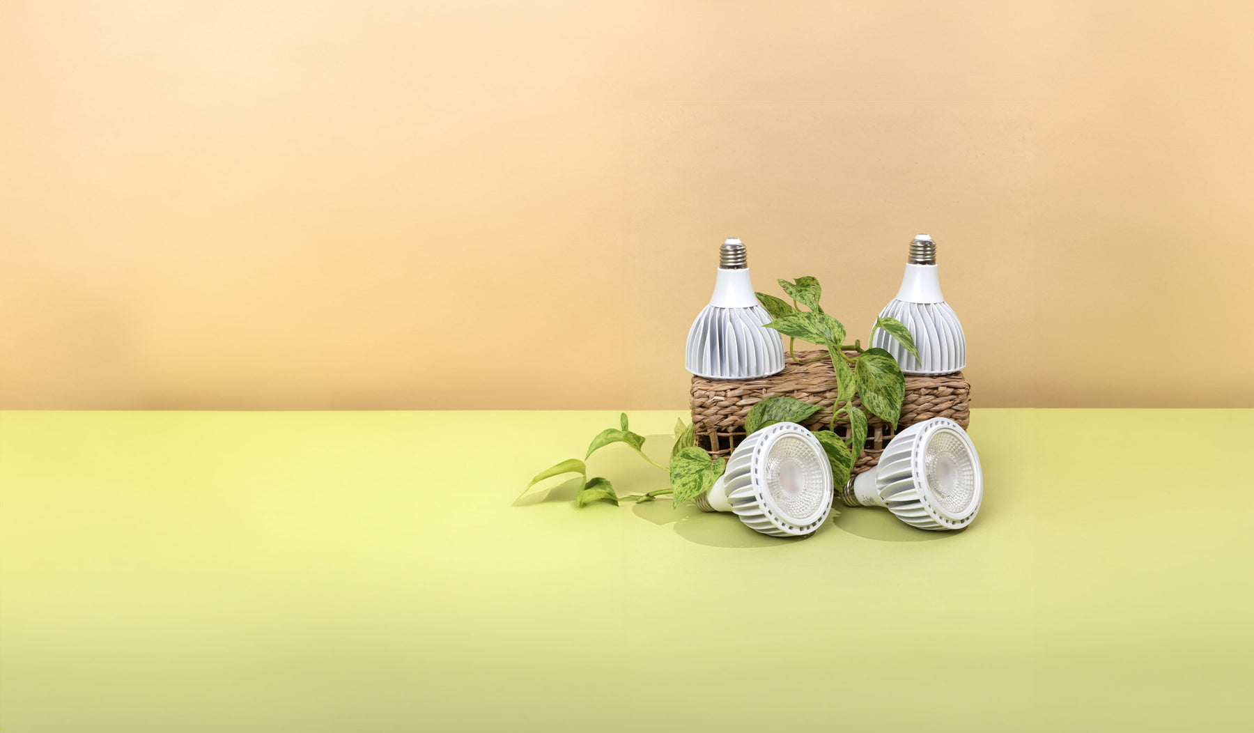 Indoor Plant Lighting For Home and Commercial Decor - Soltech