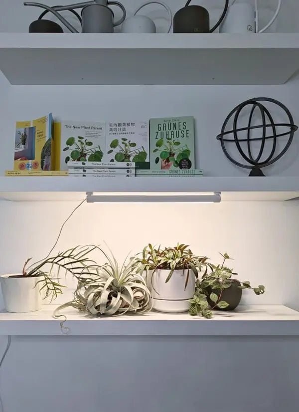 Shelf with books, plants, a Soltech Grove mounted above and a small globe on a white background