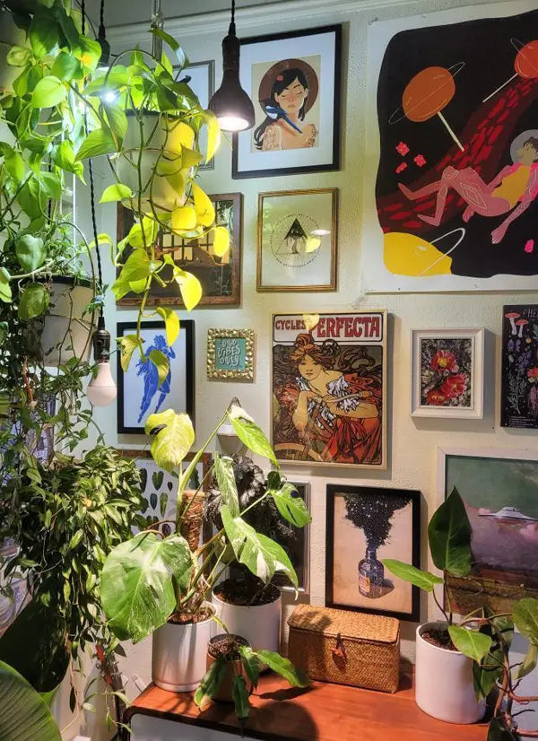Wall with various framed artworks and potted plants
