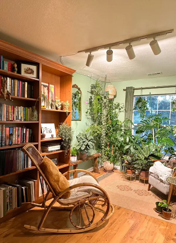 Cozy living room with wooden rocking chair, bookshelf, Soltech Highlands and plants