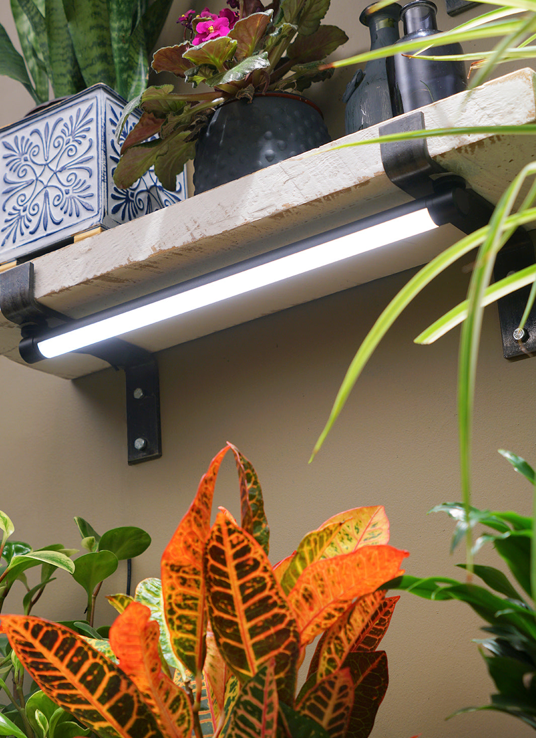 house plant with lights Soltech Solutions- Grove LED Grow Light, White