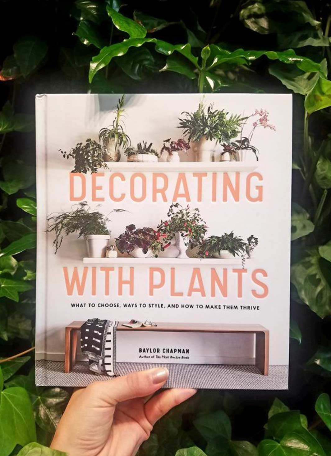 Décorer avec des plantes – Que choisir, façons de les styliser et comment les faire prospérer