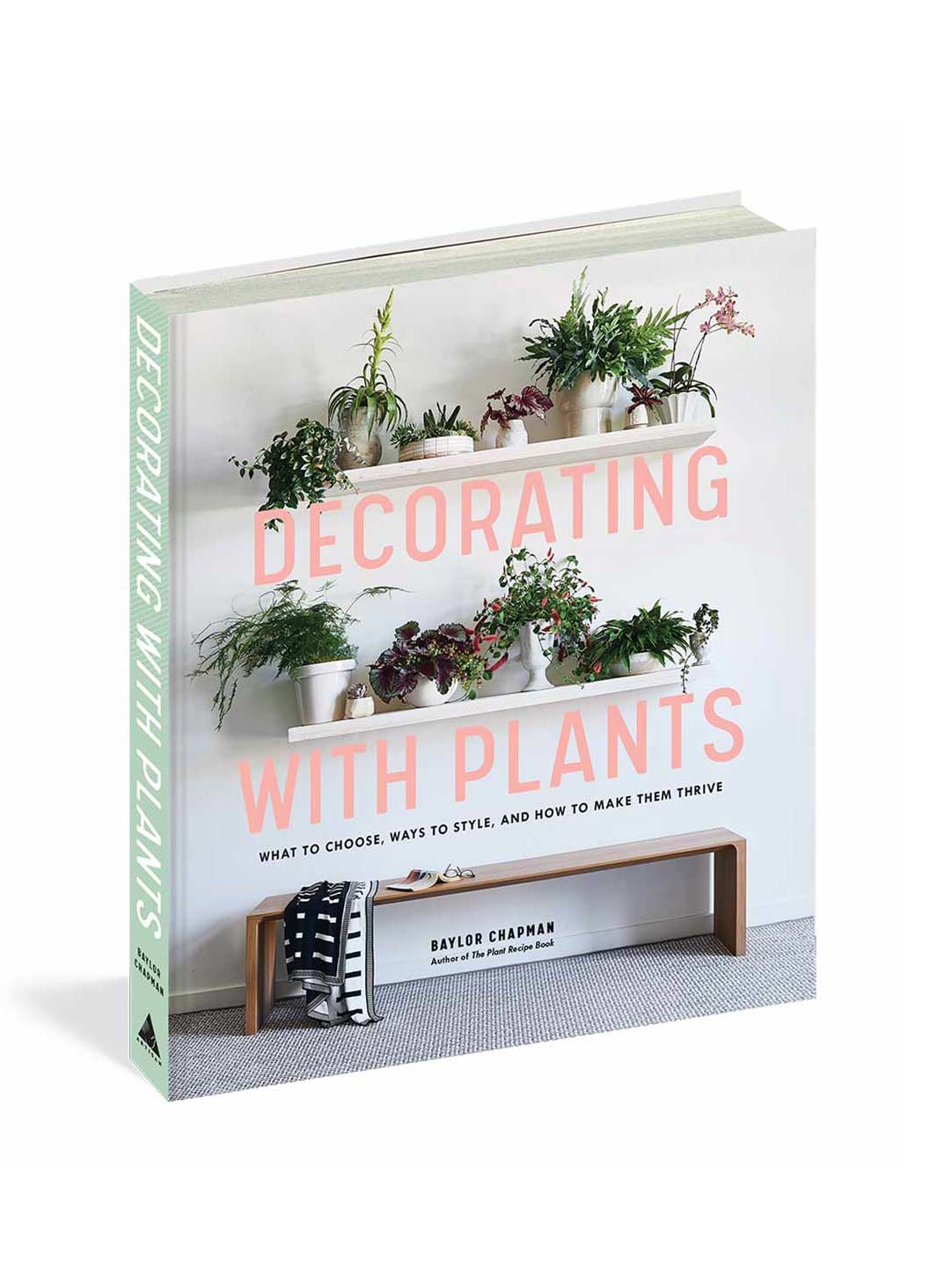Decorating with Plants - What to Choose, Ways to Style, and How to Make Them Thrive