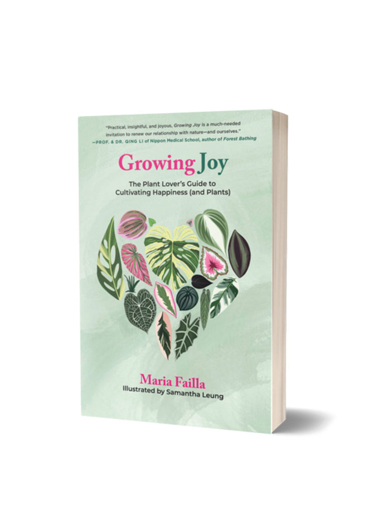 Growing Joy Plant Lovers Guide to Cultivating Happiness