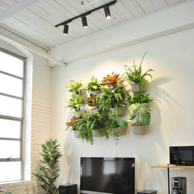 Wall-mounted indoor garden with various lush green plants in pots, under Soltech Highland ceiling track lights. Modern living room with TV and large window.