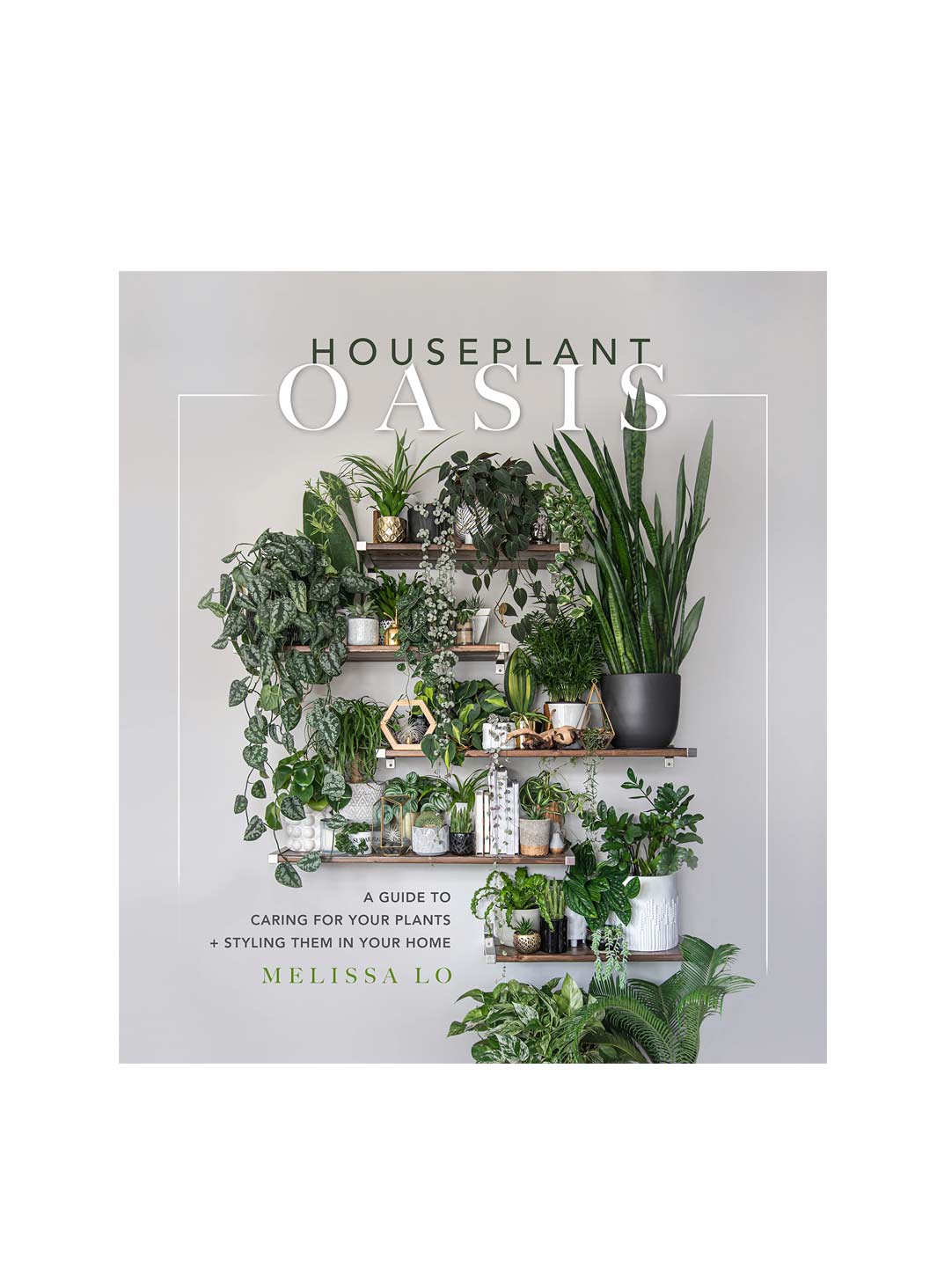 Houseplant Oasis: A Guide to Caring for Your Plants + Styling Them in Your Home