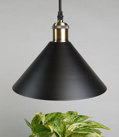 A sleek black metal pendant light with a bronze fixture hangs over a vibrant green potted plant. The background is a soft gray, creating a modern look.