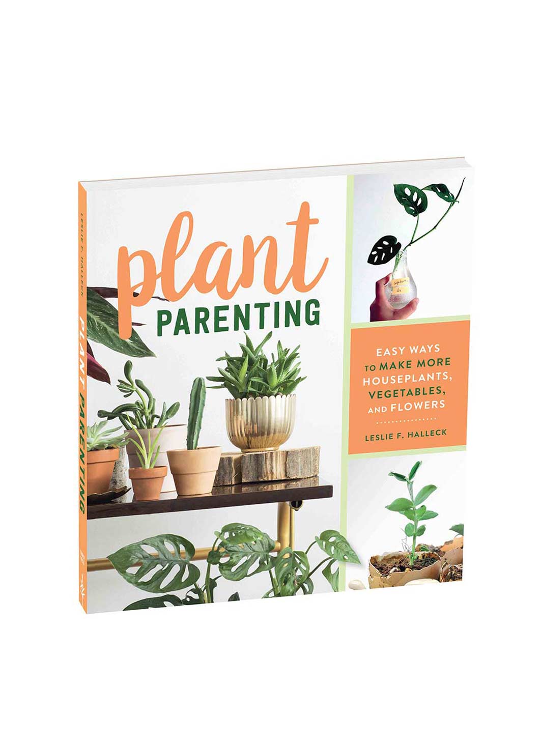 Plant Parenting - Easy Ways to Make More Houseplants, Vegetables, and Flowers