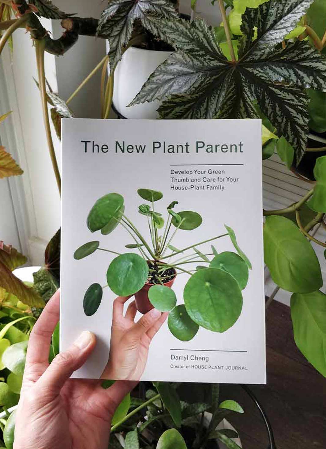 The New Plant Parent: Develop Your Green Thumb and Care for Your House - Plant Family