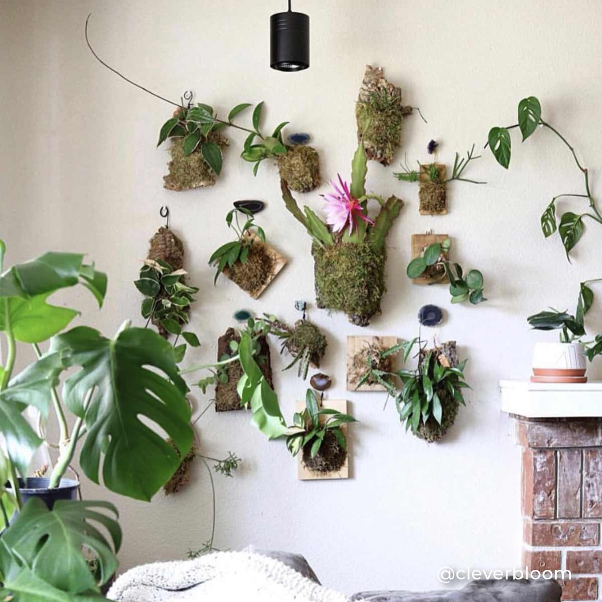 Hanging Indoor Plant Grow Light, Pendant Grow Light, Aspect™ Growlight
