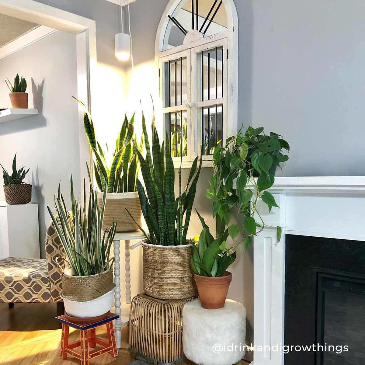 Hanging Indoor Plant Grow Light | Pendant Grow Light | Aspect ...