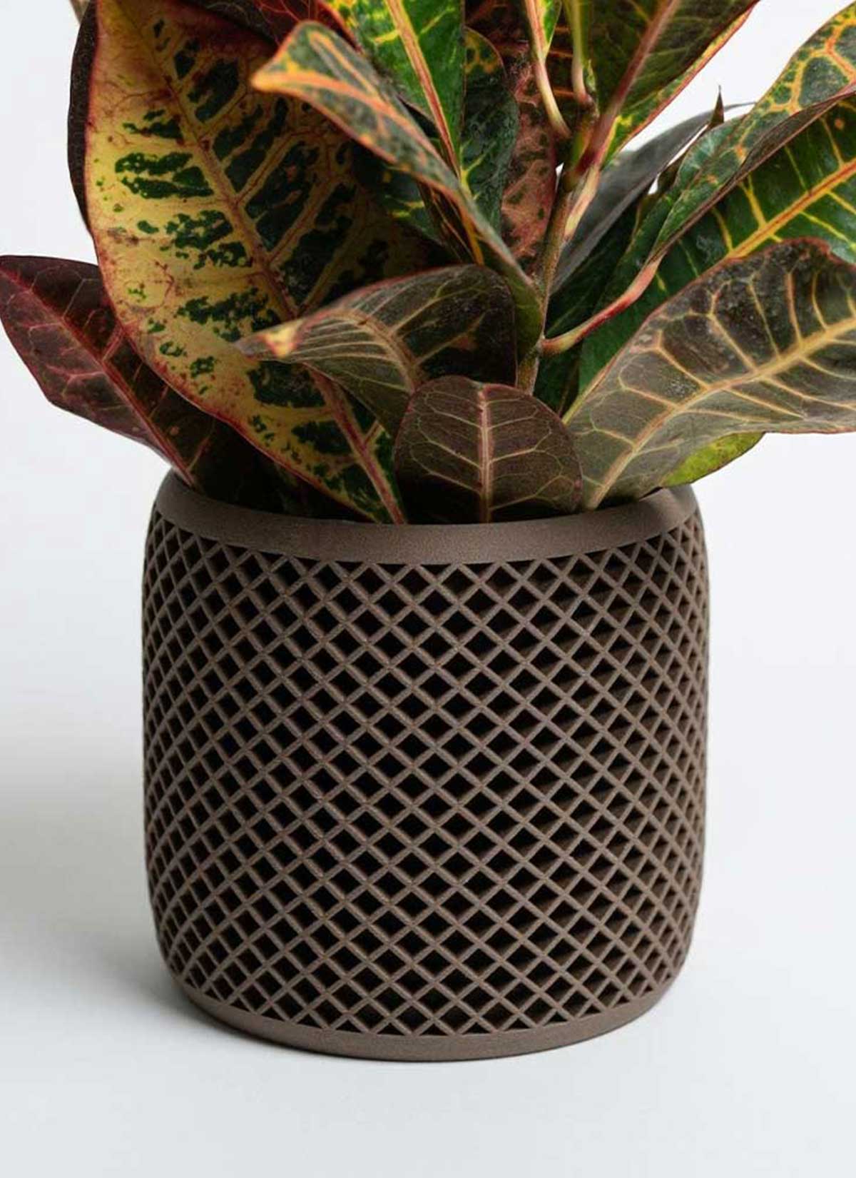 Modern Indoor Potted Plants
